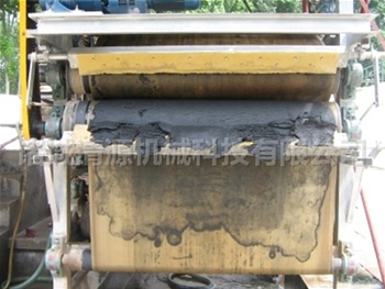 眉山萬(wàn)牌雙網(wǎng)擠漿機運行現場(chǎng)